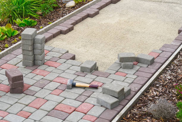 Best Driveway Paving Contractor  in Moorhead, MN