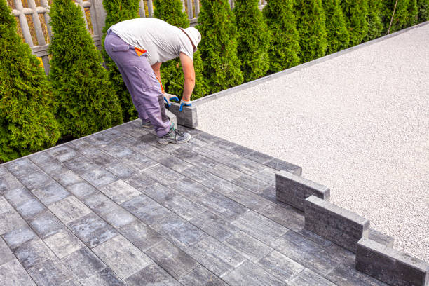 Best Local Driveway Pavers  in Moorhead, MN